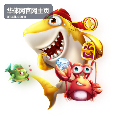 华体网官网主页球队数据观察栏目展示球队状态曲线与赛季数据