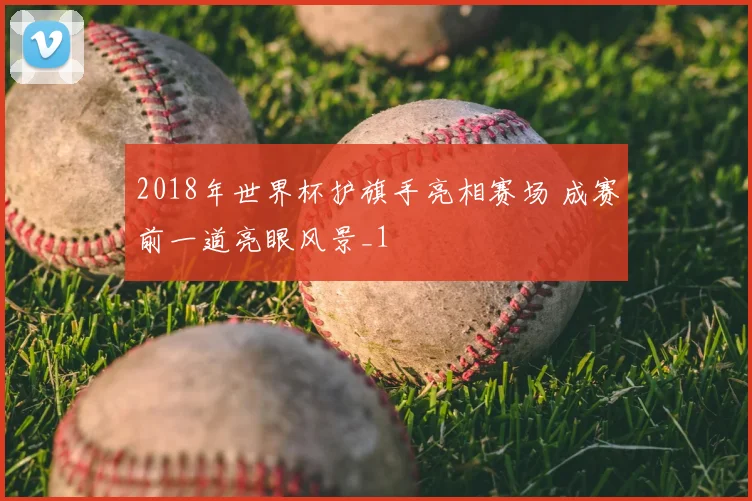 2018年世界杯护旗手亮相赛场 成赛前一道亮眼风景_1