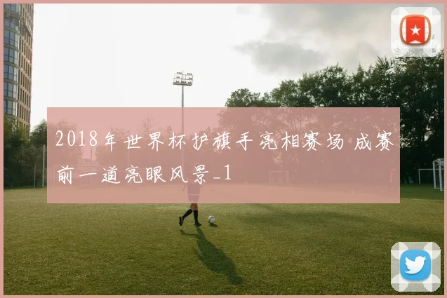 2018年世界杯护旗手亮相赛场 成赛前一道亮眼风景_1