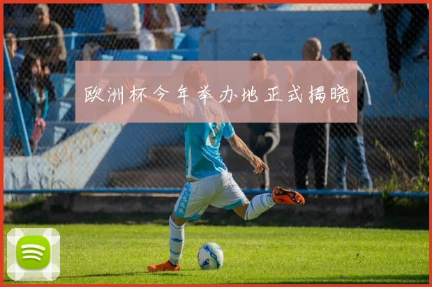 欧洲杯今年举办地正式揭晓