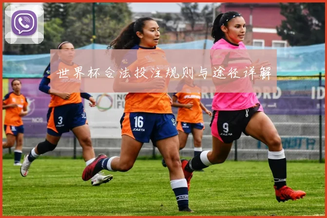 世界杯合法投注规则与途径详解