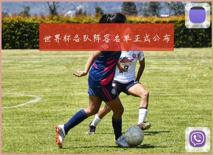 世界杯各队阵容名单正式公布